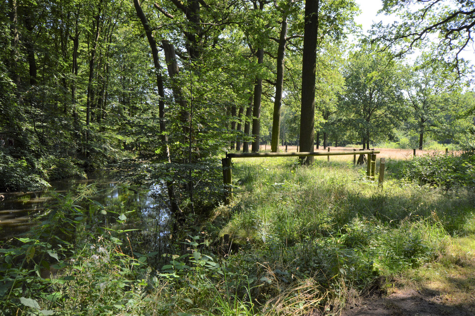 text-image-collection