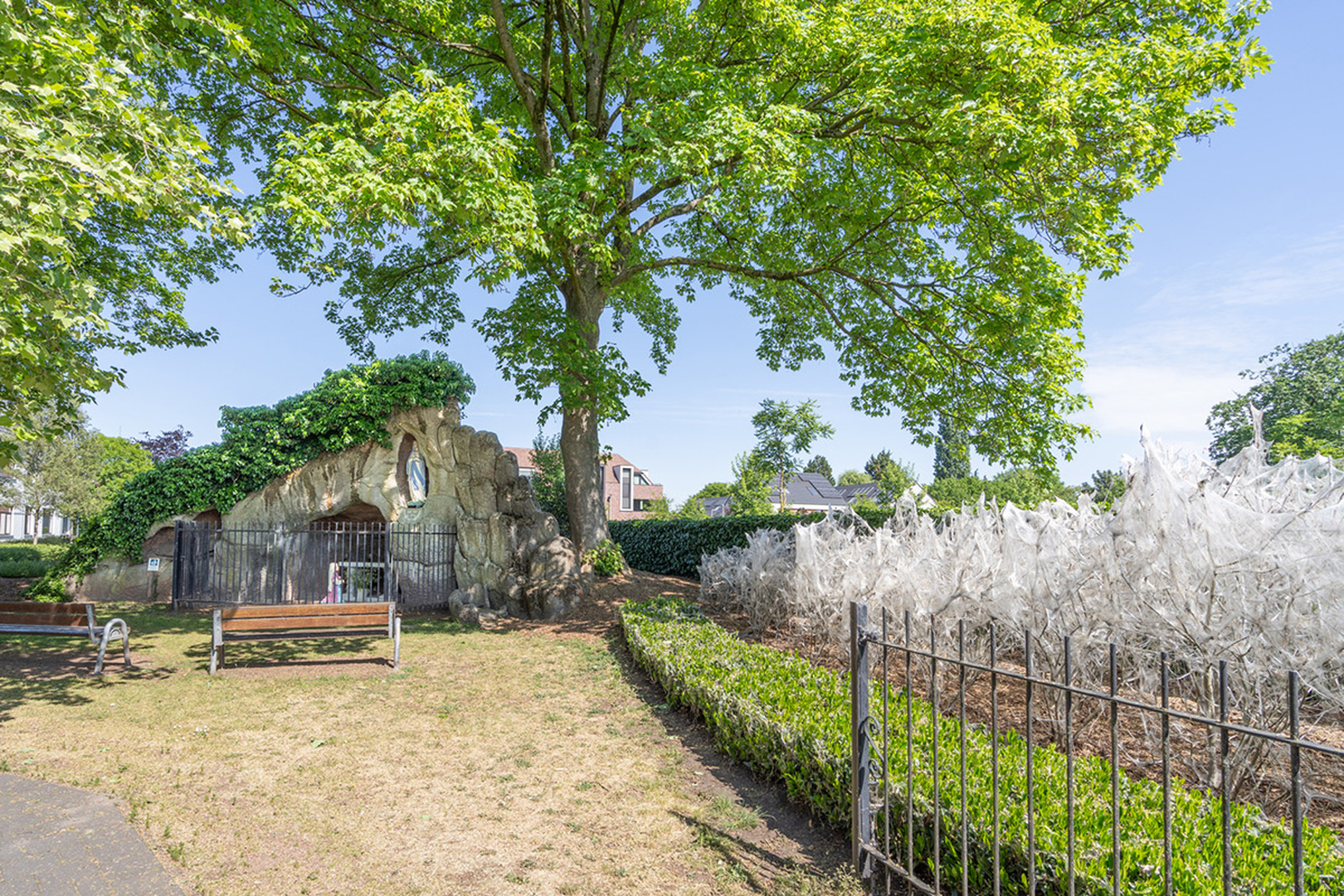 text-image-collection