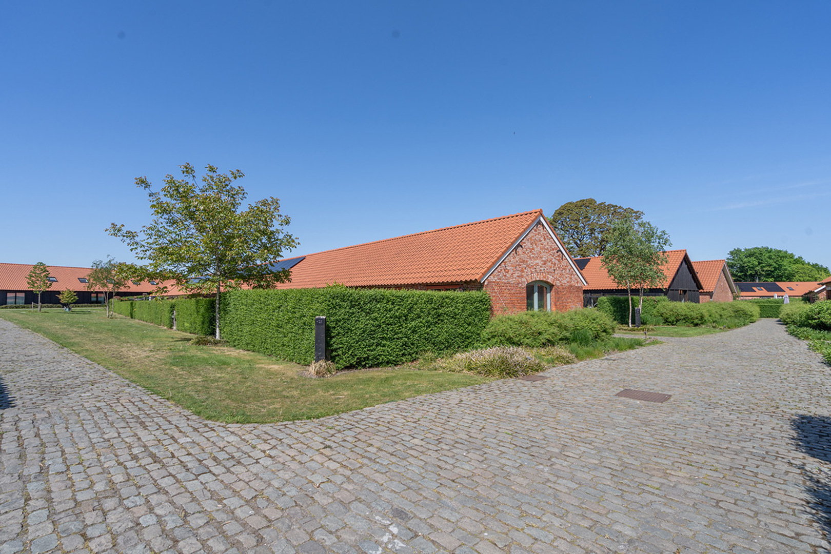 text-image-collection