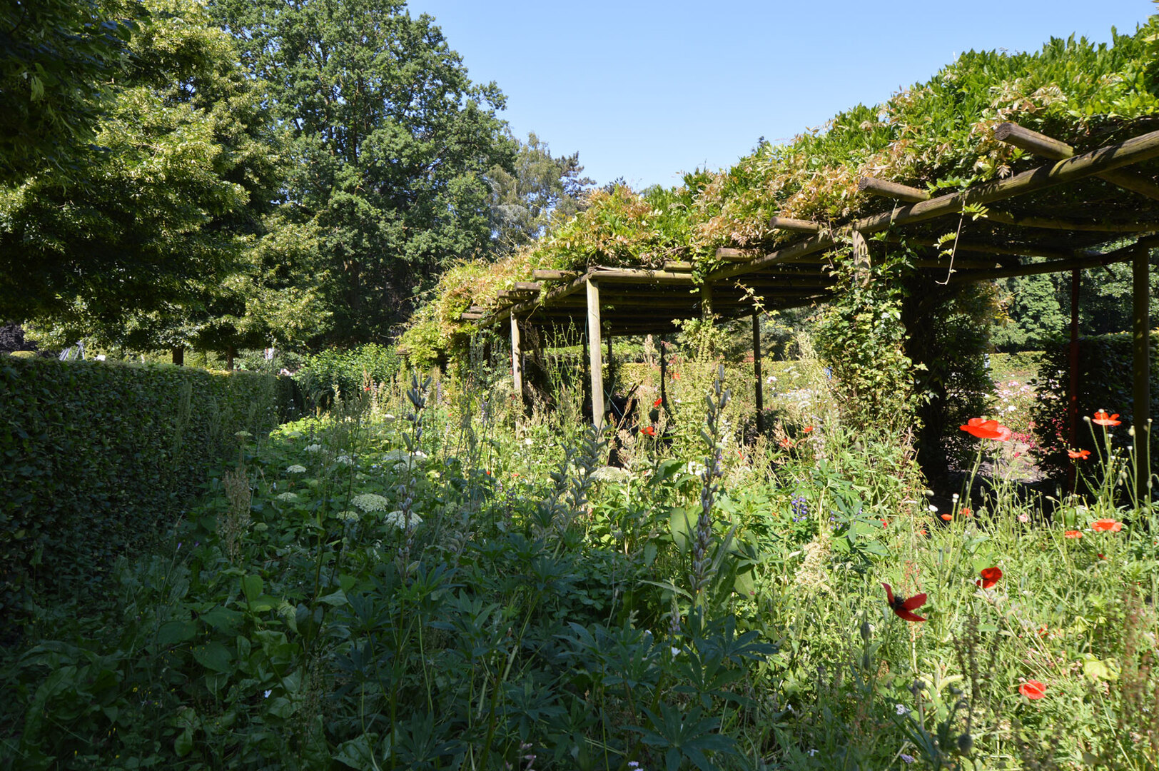 text-image-collection