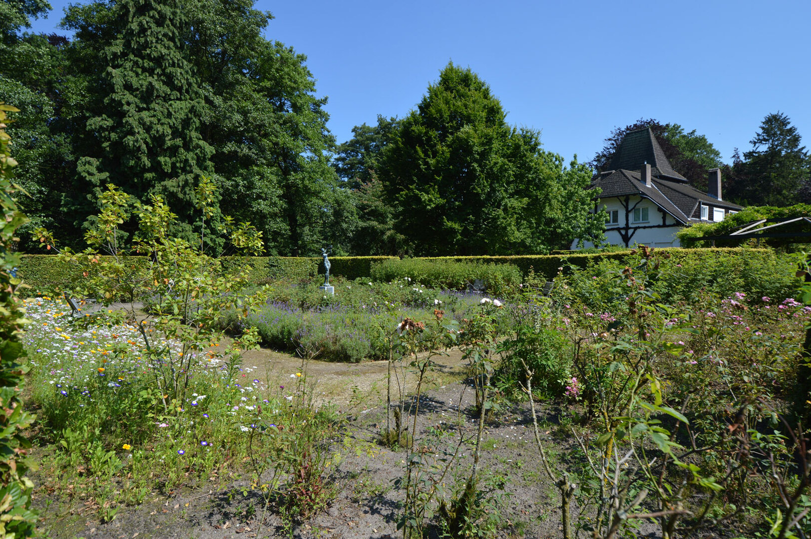 text-image-collection