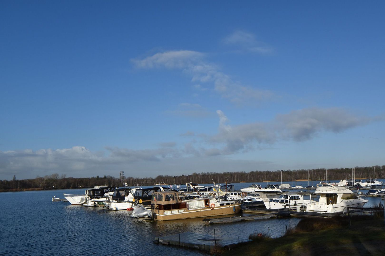 text-image-collection