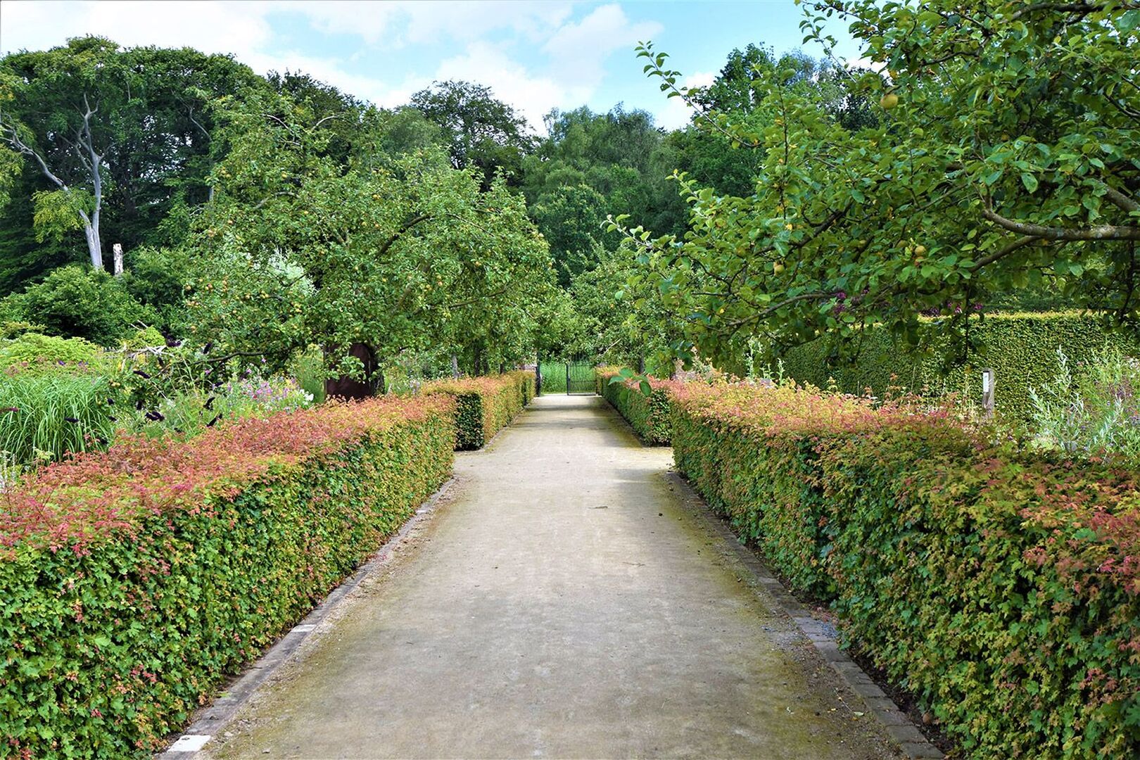 text-image-collection