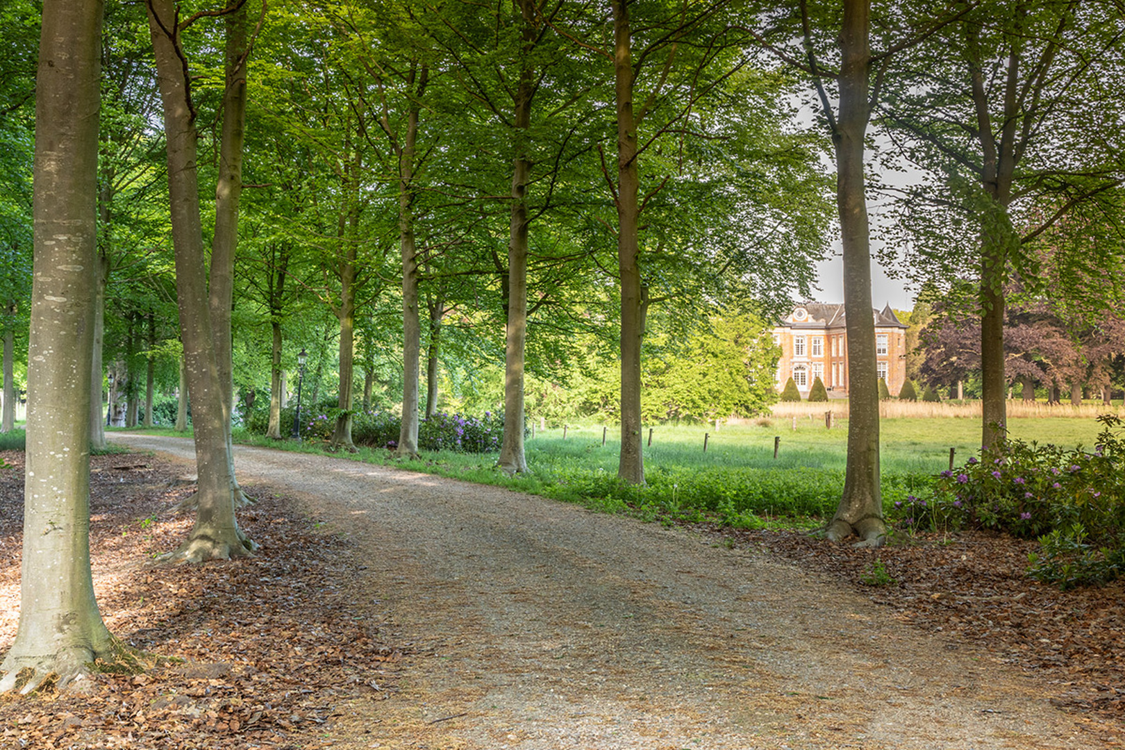 Welkom in: Wuustwezel